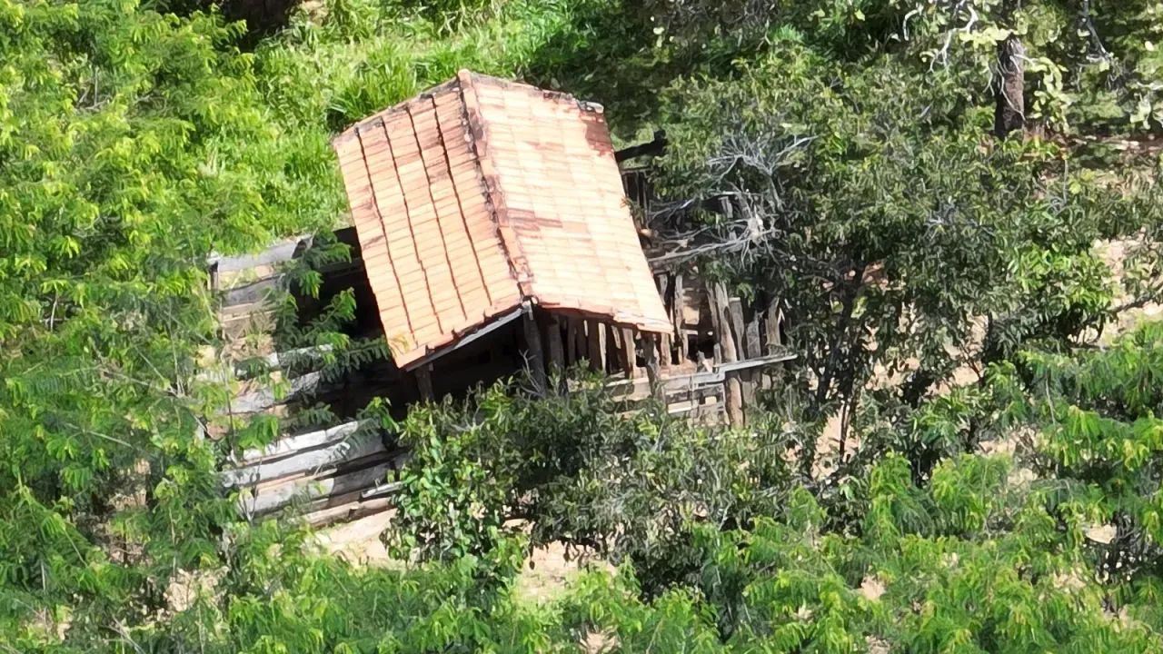 Fazenda a venda em Jaú do Tocantins!!! - Foto 3