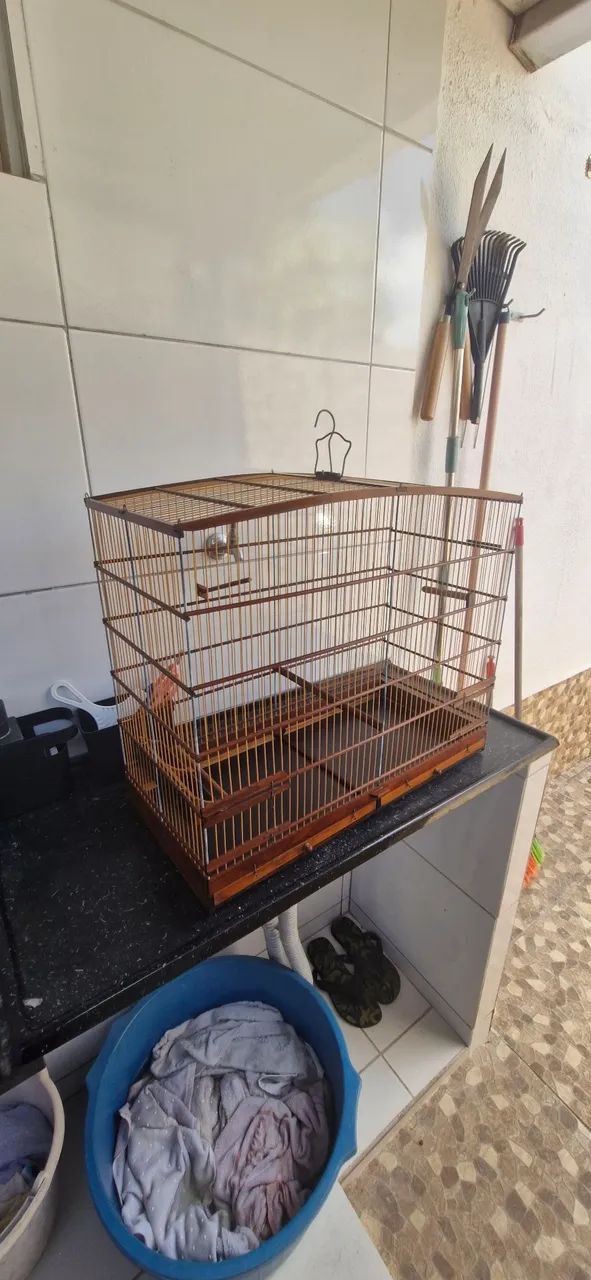 Gaiola - Foto 2