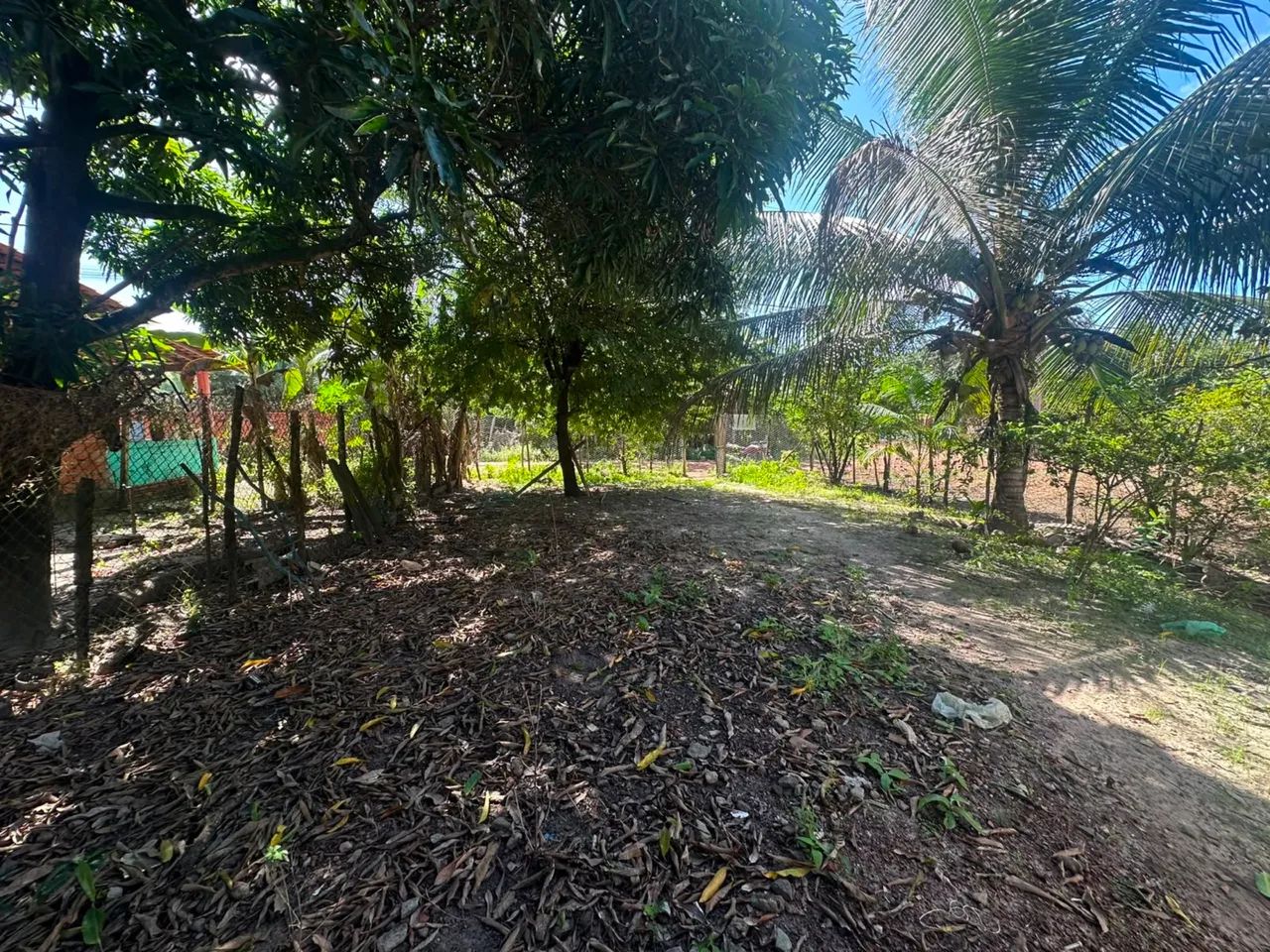 Vendo casa grande com quintal  - Foto 5