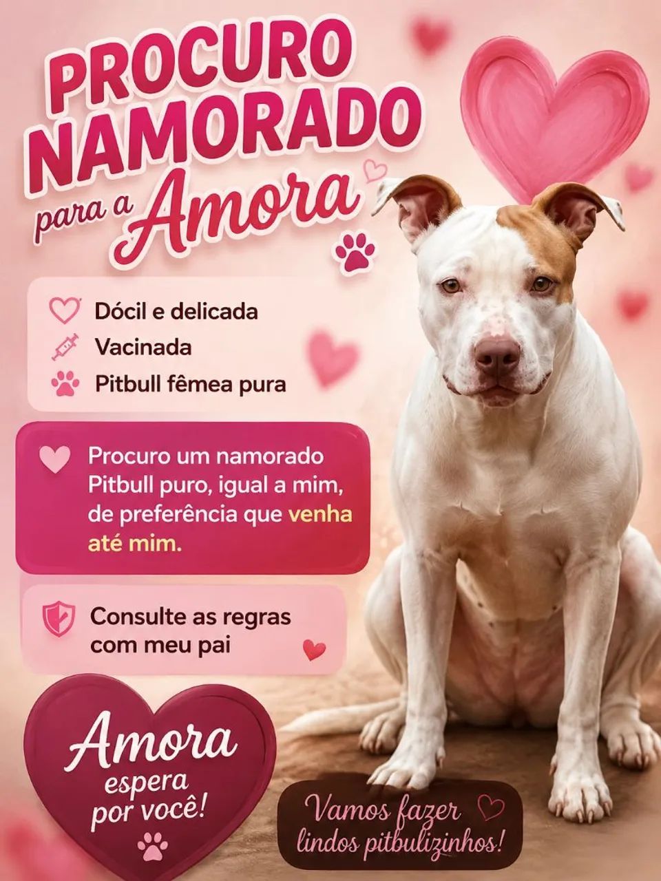 Procuro namorado