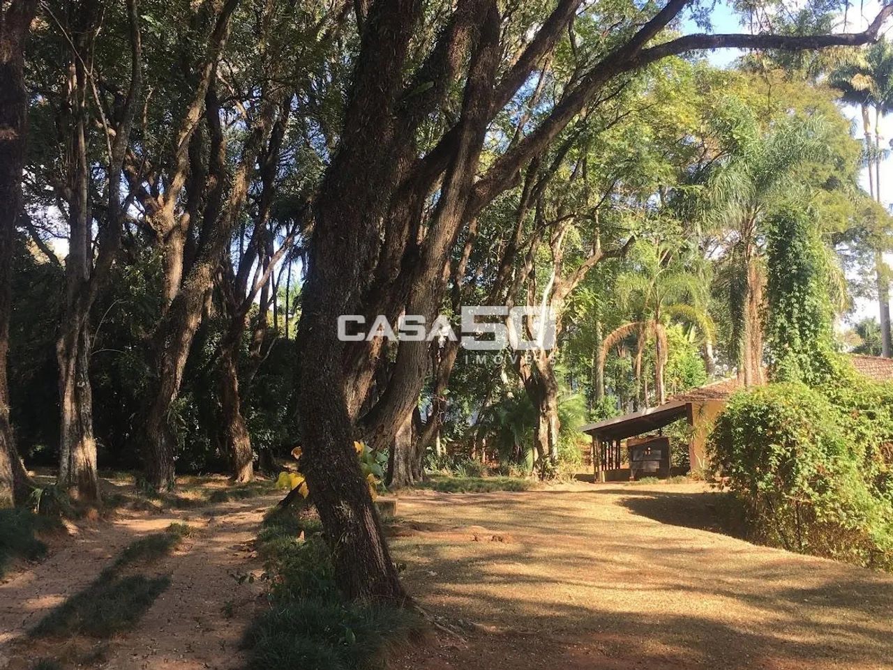 terreno - Sítios de Recreio Gramado - Campinas - Foto 5