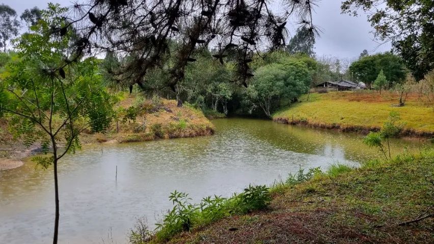 Foto - Mandirituba - Areia Branca dos Assis
