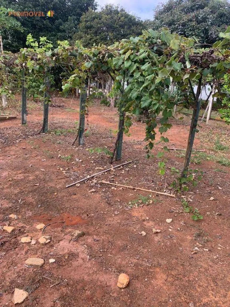 Terreno, Condomínio Primavera - Salto SP - Foto 4