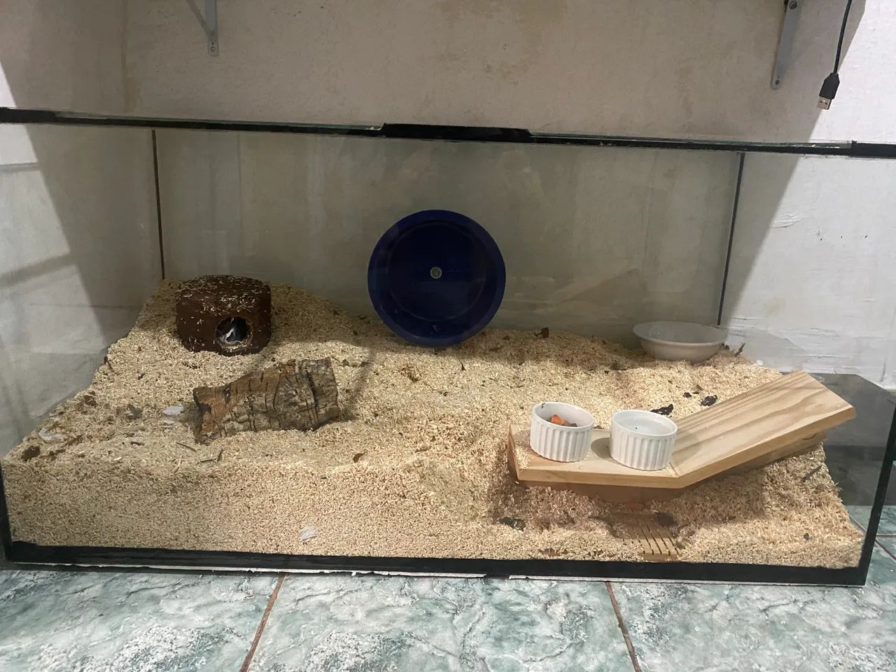 Vendo Aquário/terrario - Foto 2