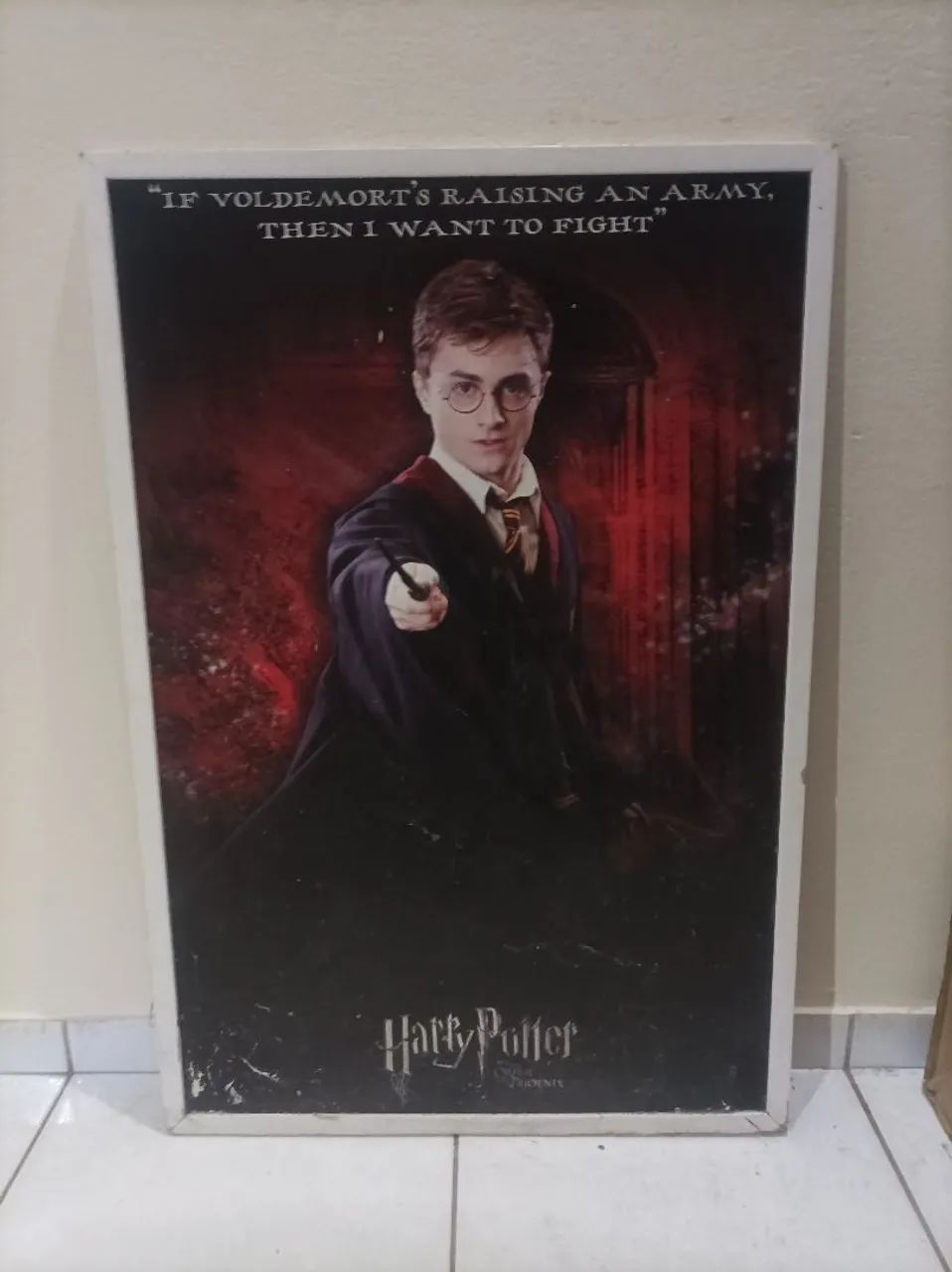 Quadro HARRY POTTER 