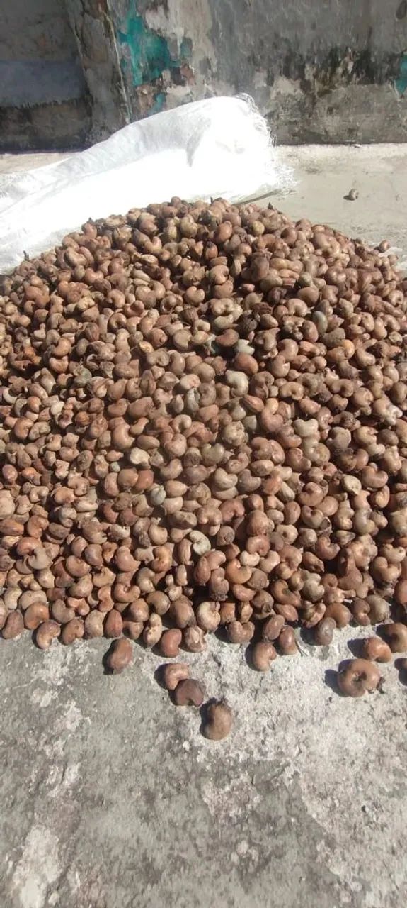 Castanha de caju  - Foto 2
