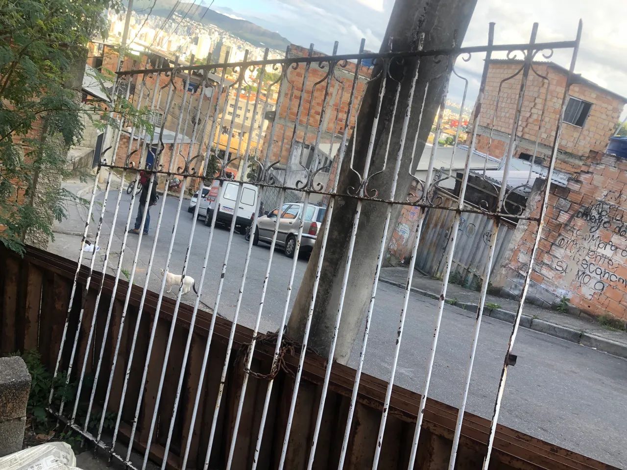 Solid Iron Gate, 2.50 m Wide448326671763384320