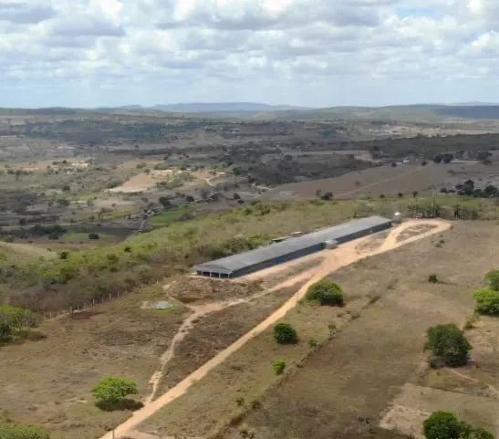 Garanhuns Ótima Granja Automatizada - Foto 2