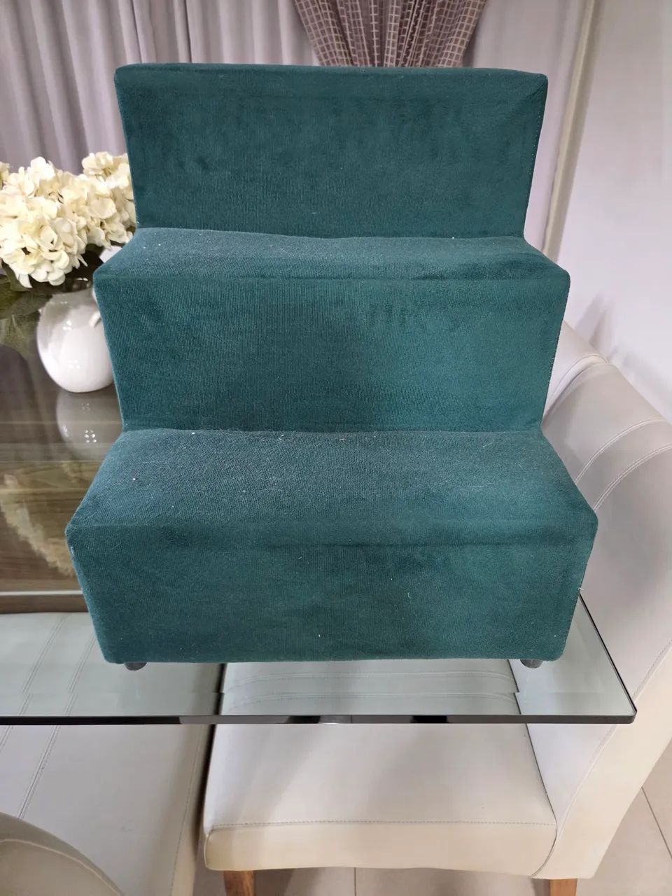 Escada pet