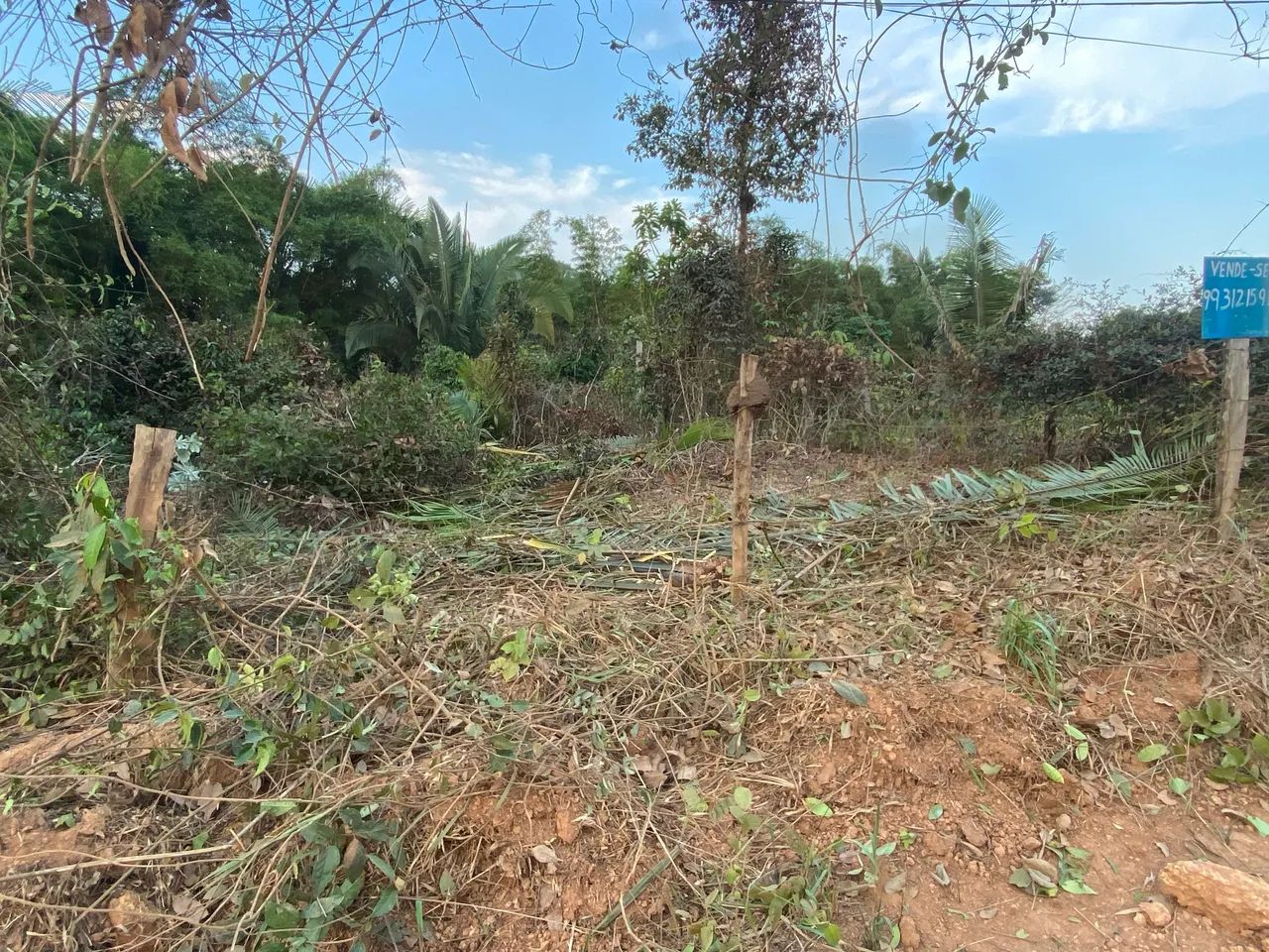 Terreno nova esperança 