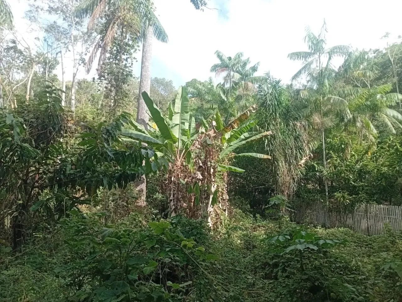 Vendo este terreno no valor 350 mil  - Foto 3