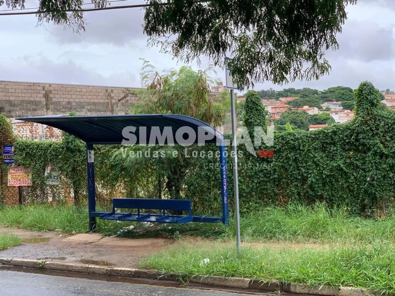 terreno - Jardim Santana - Campinas - Foto 2