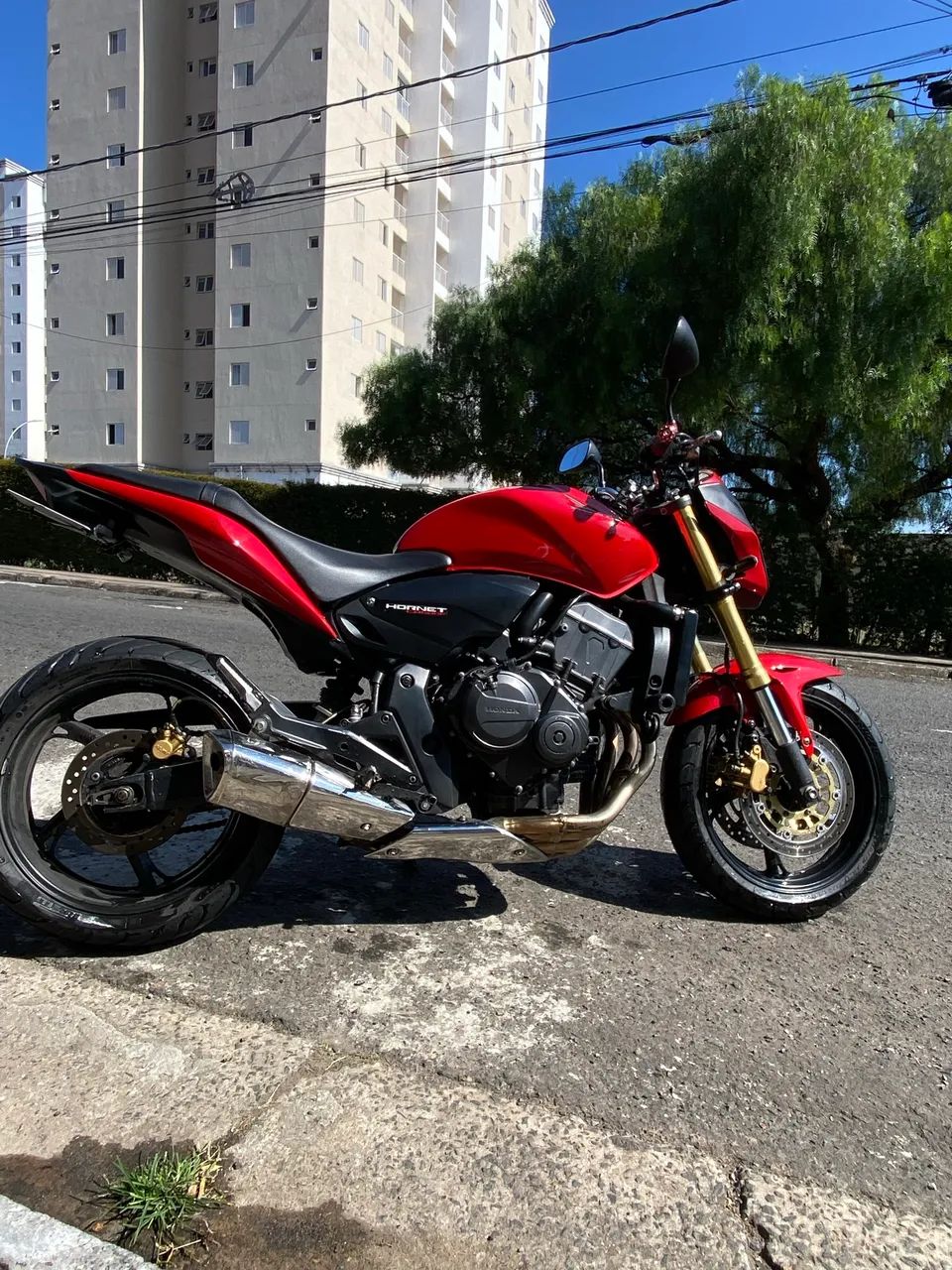 Hornet vermelha 
