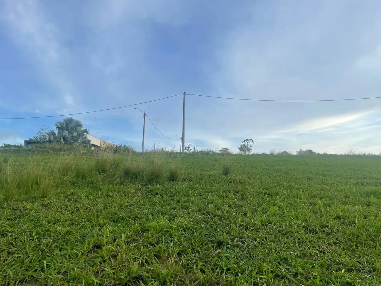 Terreno para vender em  Vitória de Santo Antão - Foto 4