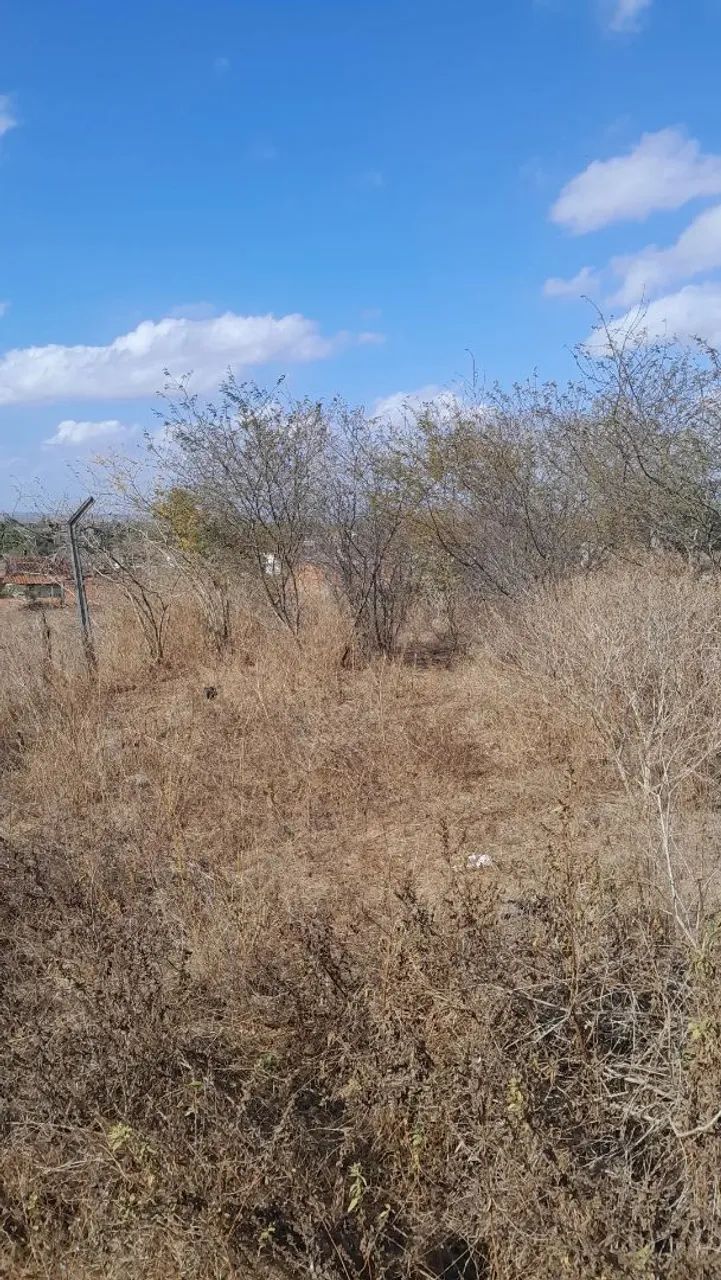 Ótima oportunidade. 