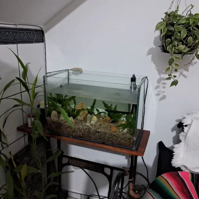 Aquário  - Foto 4