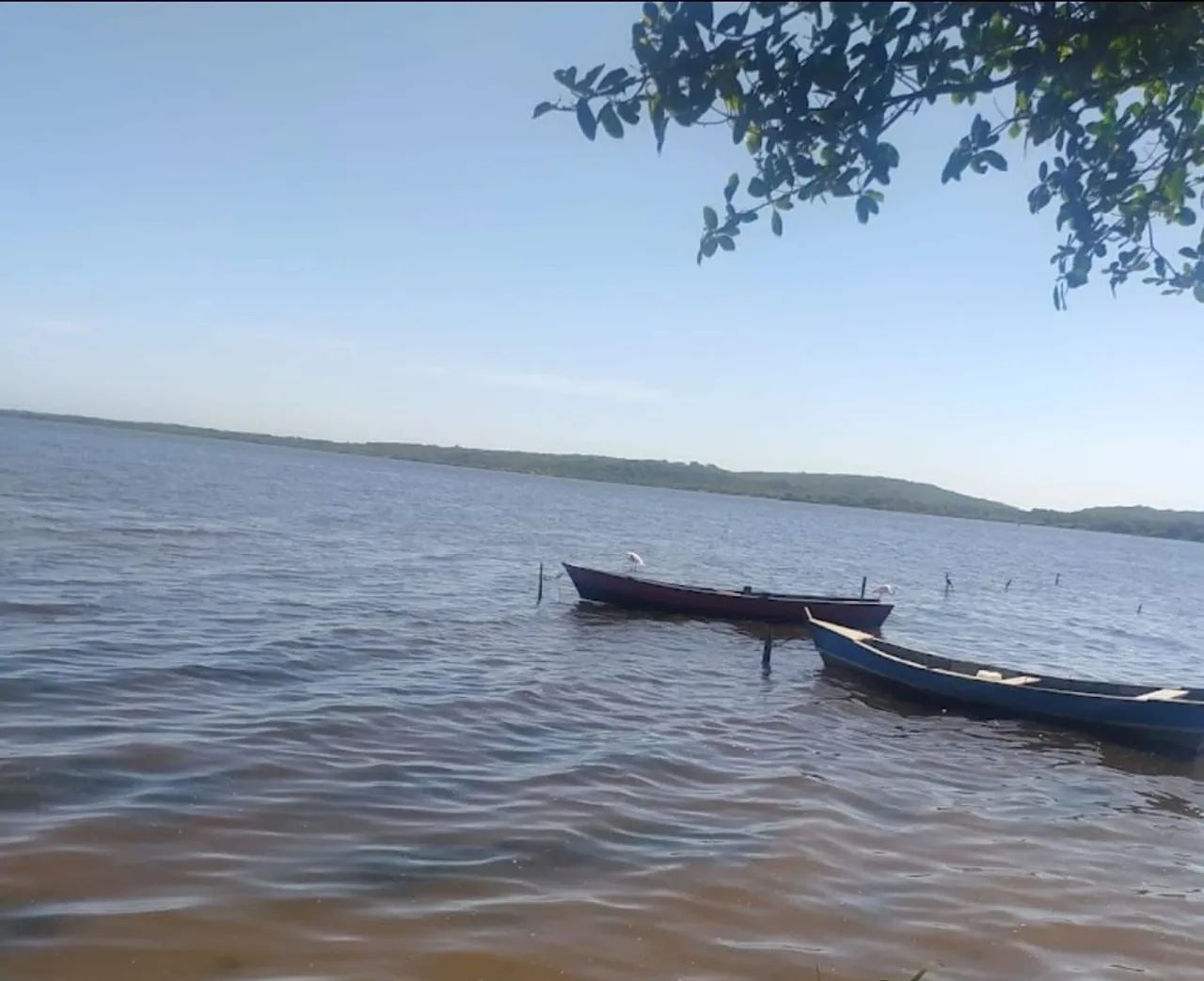 Terreno São José do Imbassaí  - Foto 5