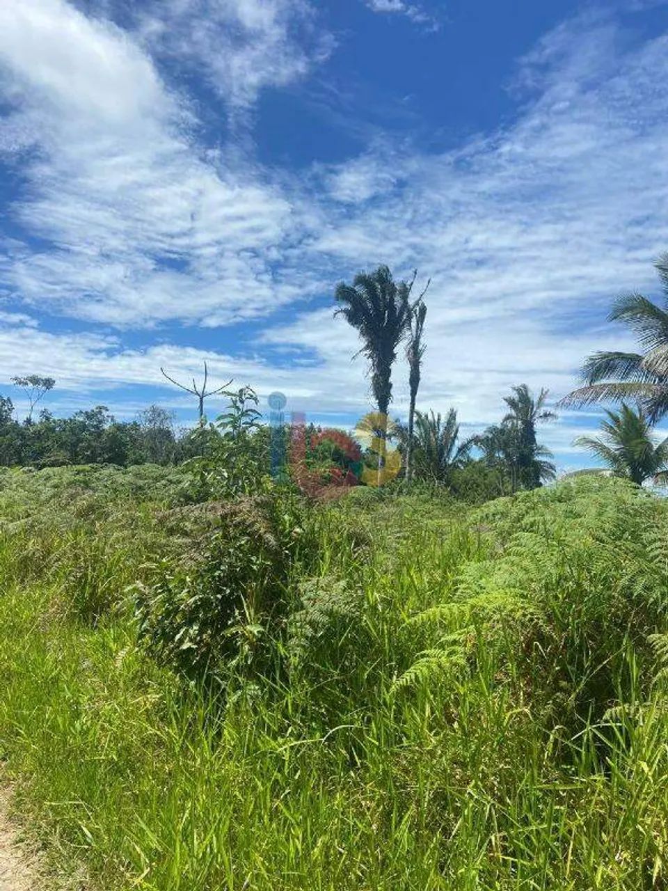 VENDO LOTE EM ÁREA RURAL - Foto 5