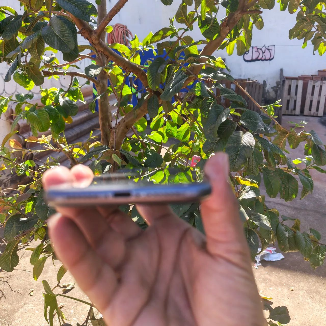 iPhone 11 - Foto 4