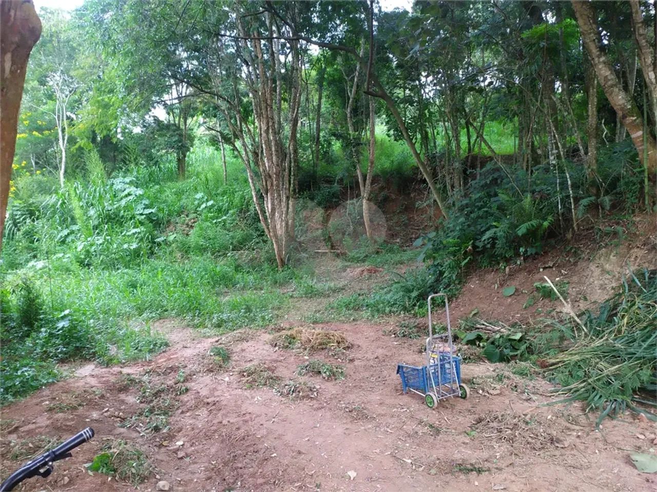 Terreno de 4050m² a Venda - Mogi das Cruzes - SP - Foto 5