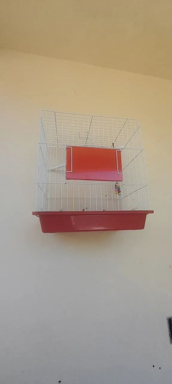 Gaiola Seminova - Foto 3