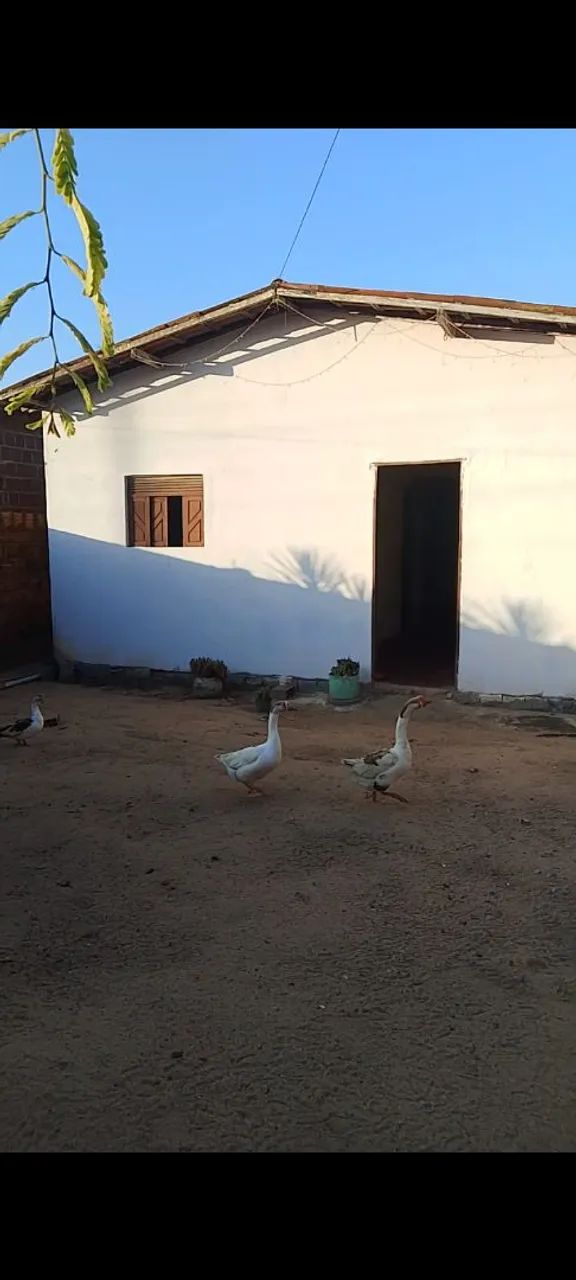 Casa toda murada - Foto 2