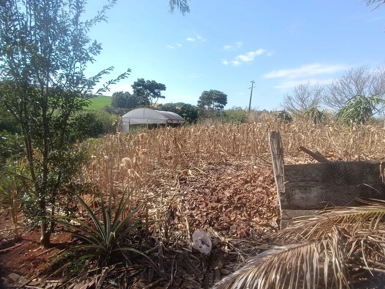 Vendo Chácara em Três barras do Paraná-PR  - Foto 4