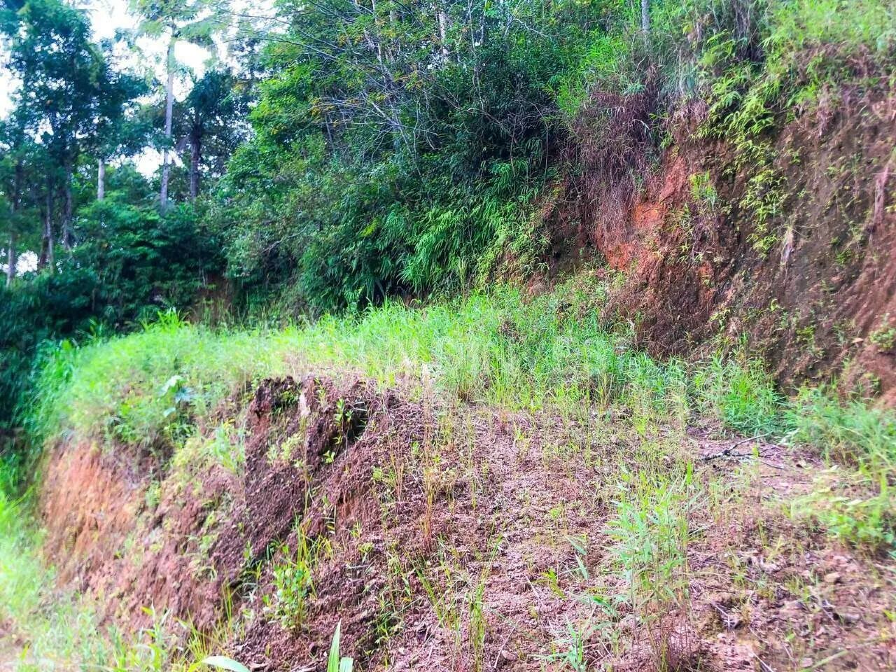 Terreno no bairro Bateas 825 m² - Foto 4
