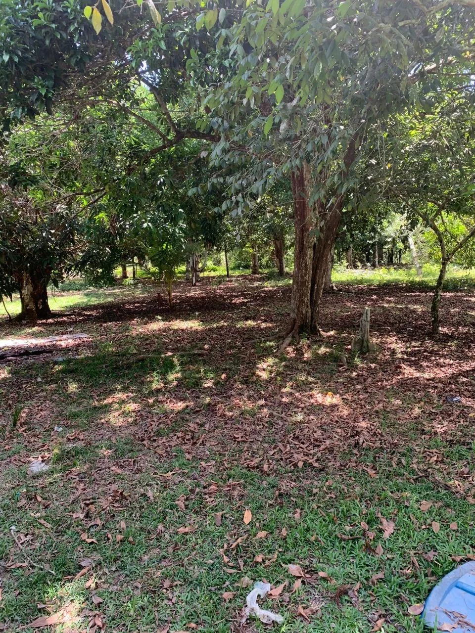 SÍTIO A VENDA BARATO  - Foto 4