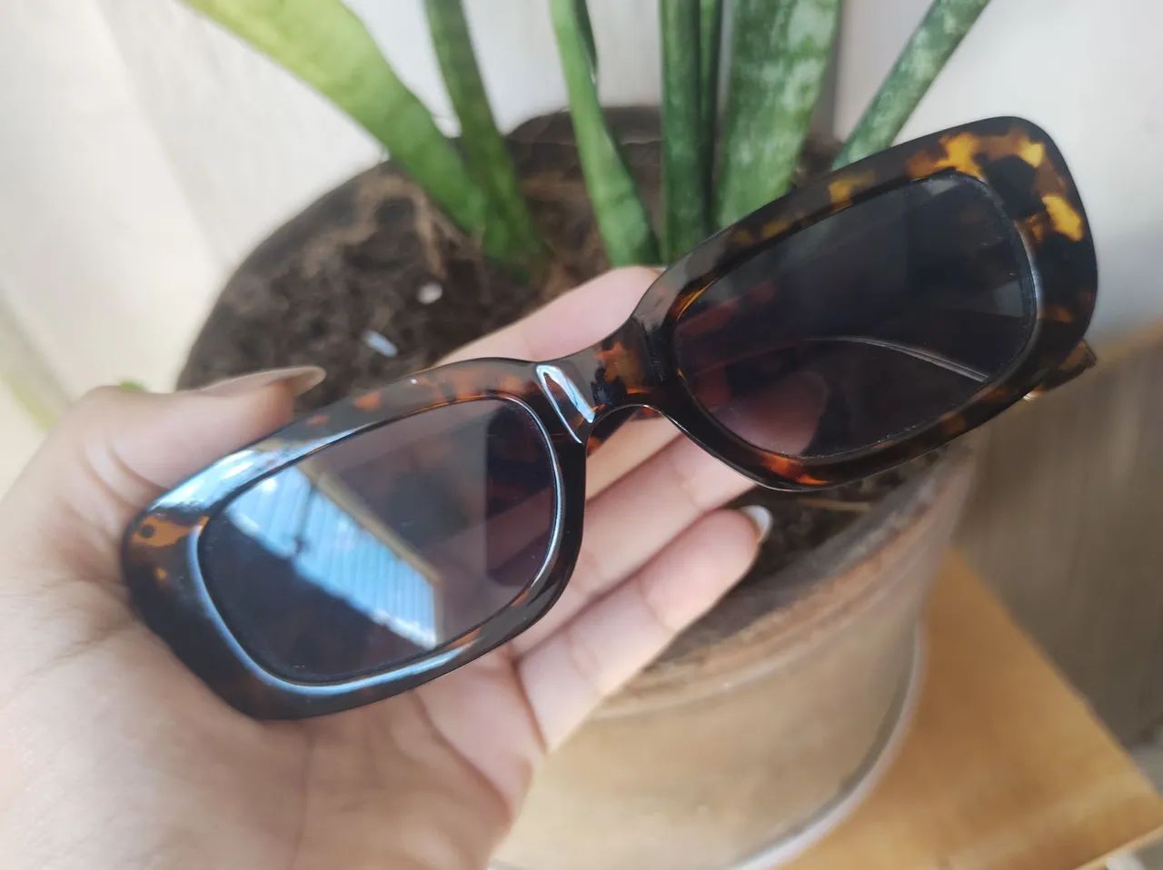 Óculos de sol estilo onça por 10,00