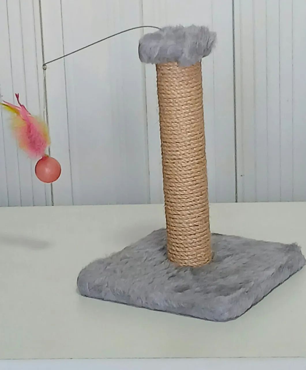 araodo de gato - Foto 2