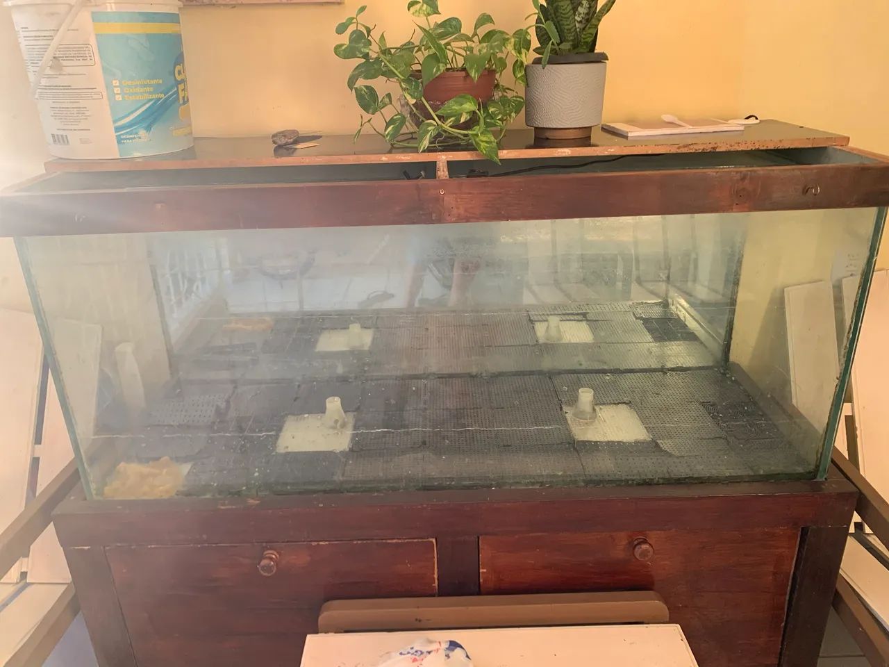 Venda - Foto 2