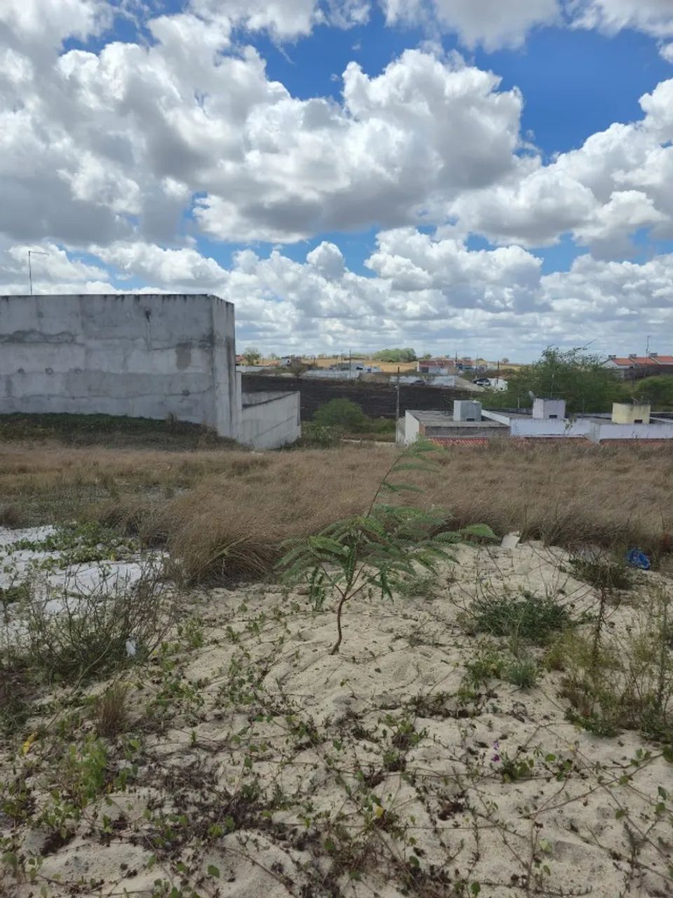 VENDO 02 TERRENOS EM SAPÉ APROX 600 MTS - Foto 3