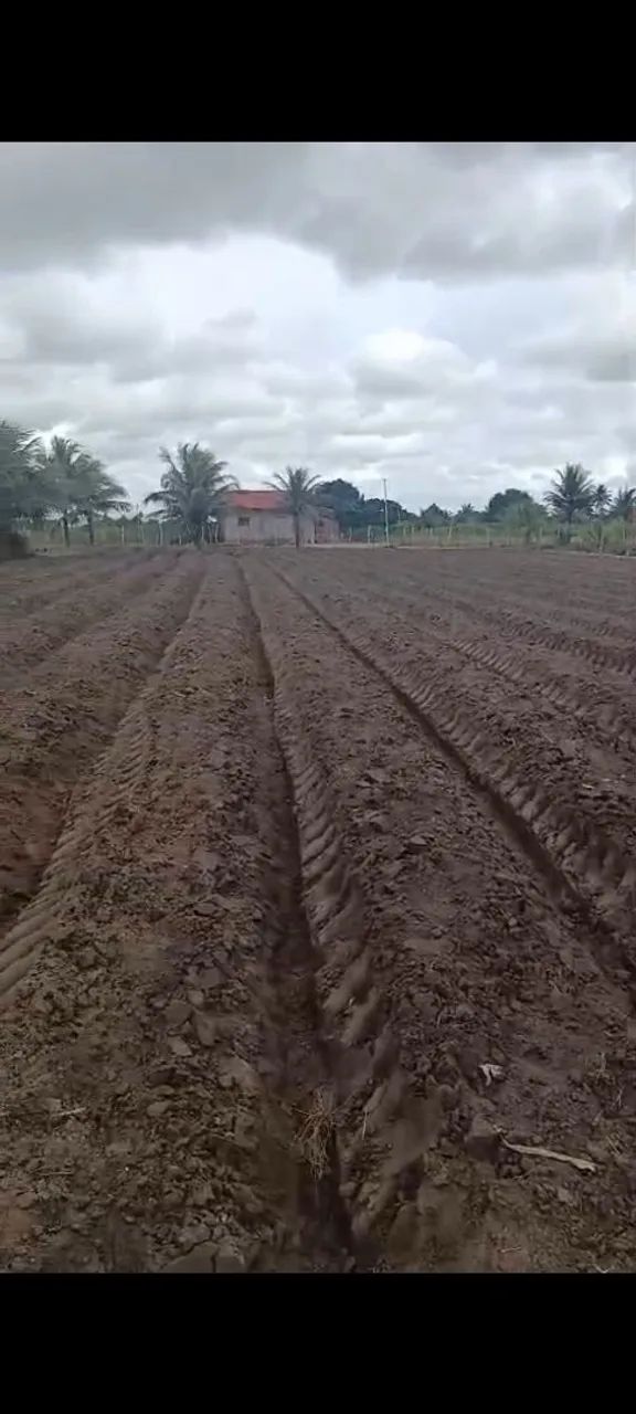 Vendesse terreno - Foto 4