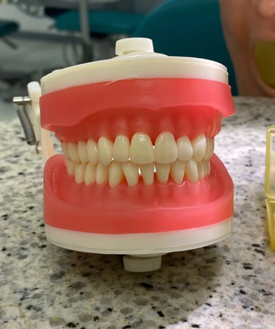 manequim pronew dentistica - Foto 2