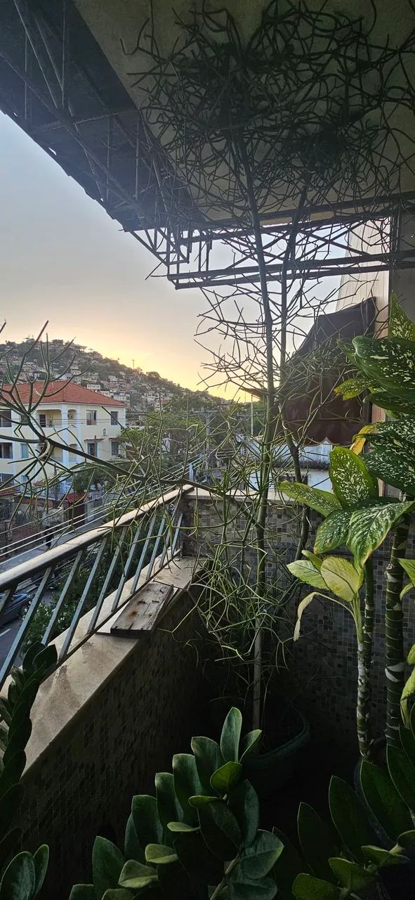 Plantas bem cuidadas - Foto 2