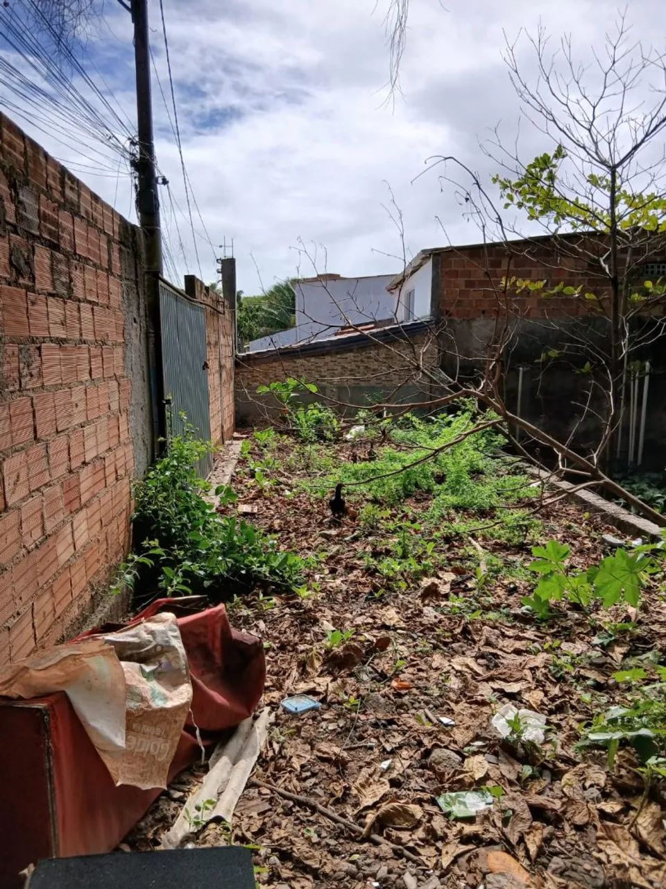 Terreno Plano - Foto 3