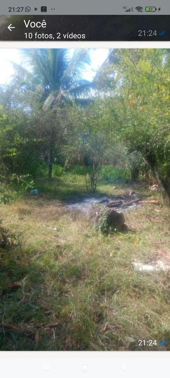 sítio com uma uma tarefa de terra com escritura  - Foto 3