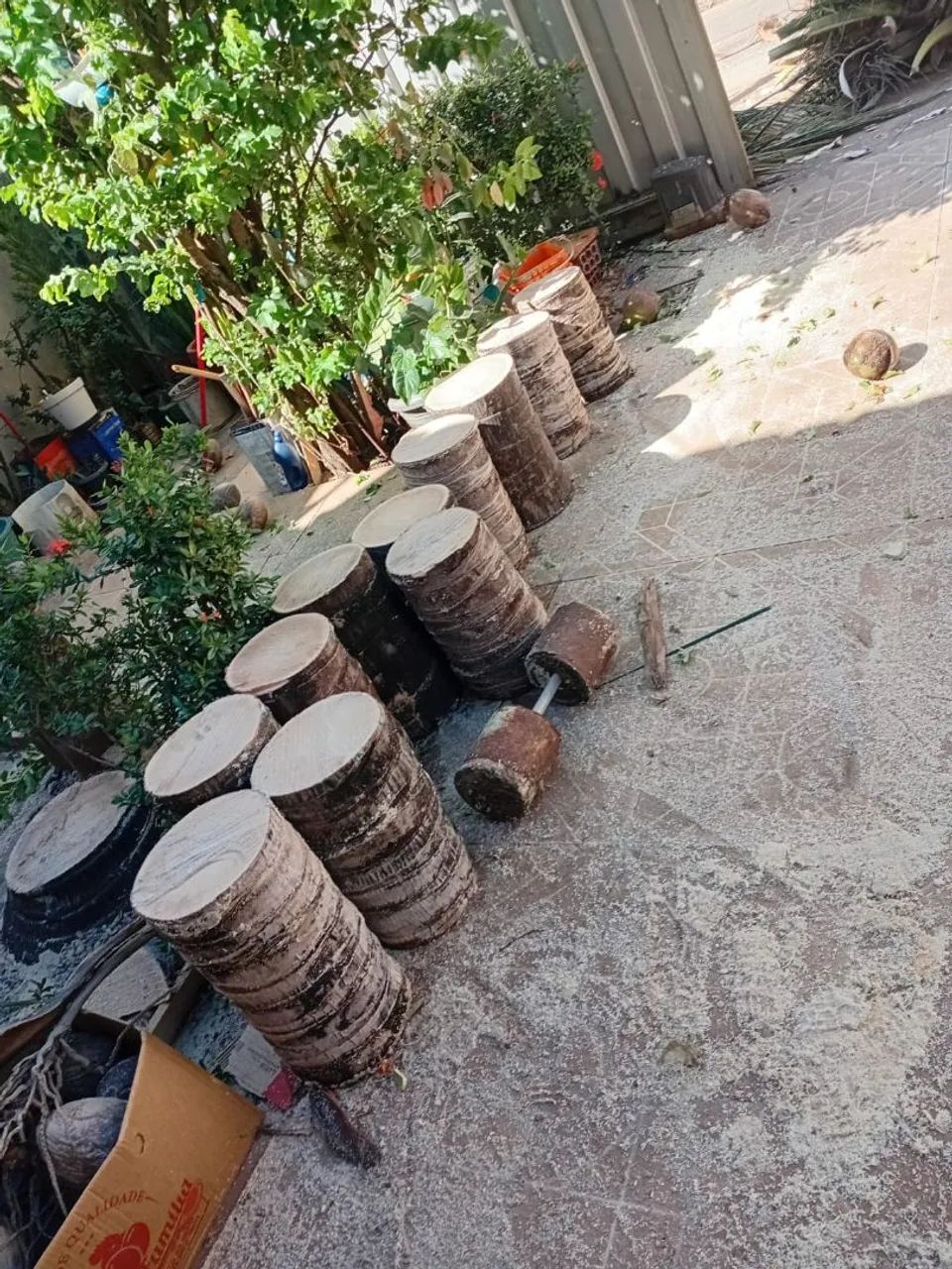 poda Árvores 