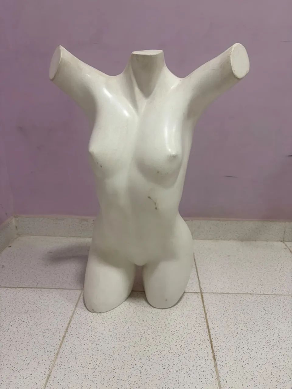 Manequim e Arara - Foto 5