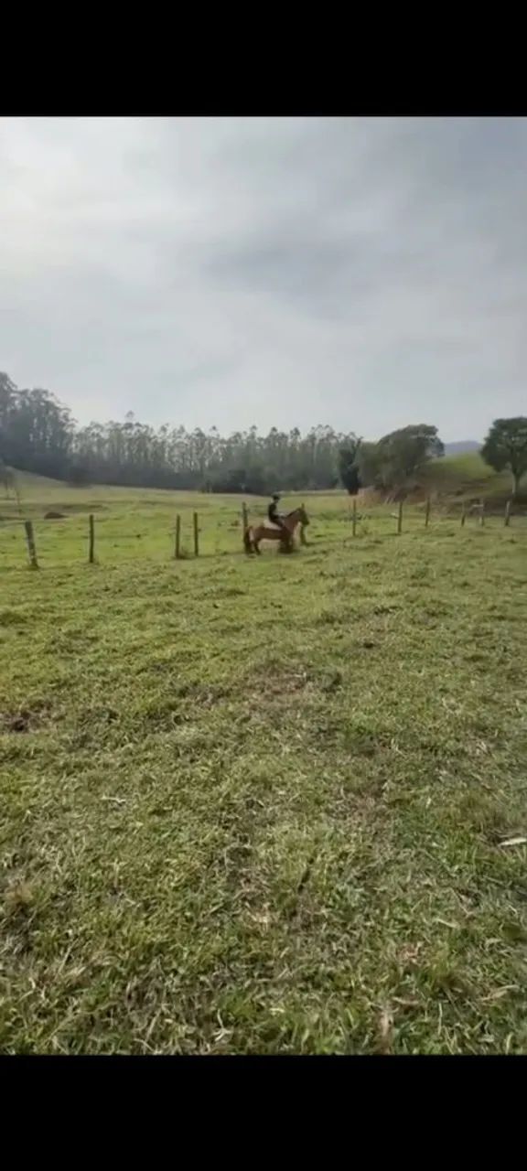 Criolo - Foto 2