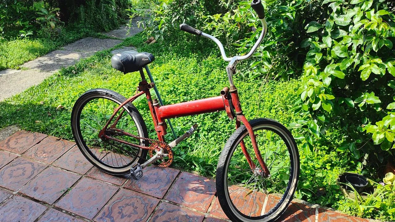 vendo bicicleta maria - mole - Foto 5