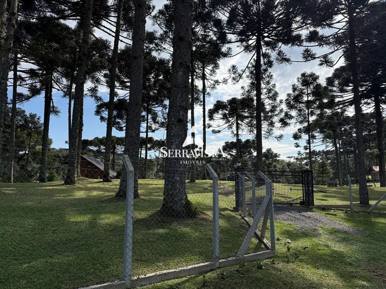 Lindo chalé em Campo Alegre - 2500 m2 - Foto 4