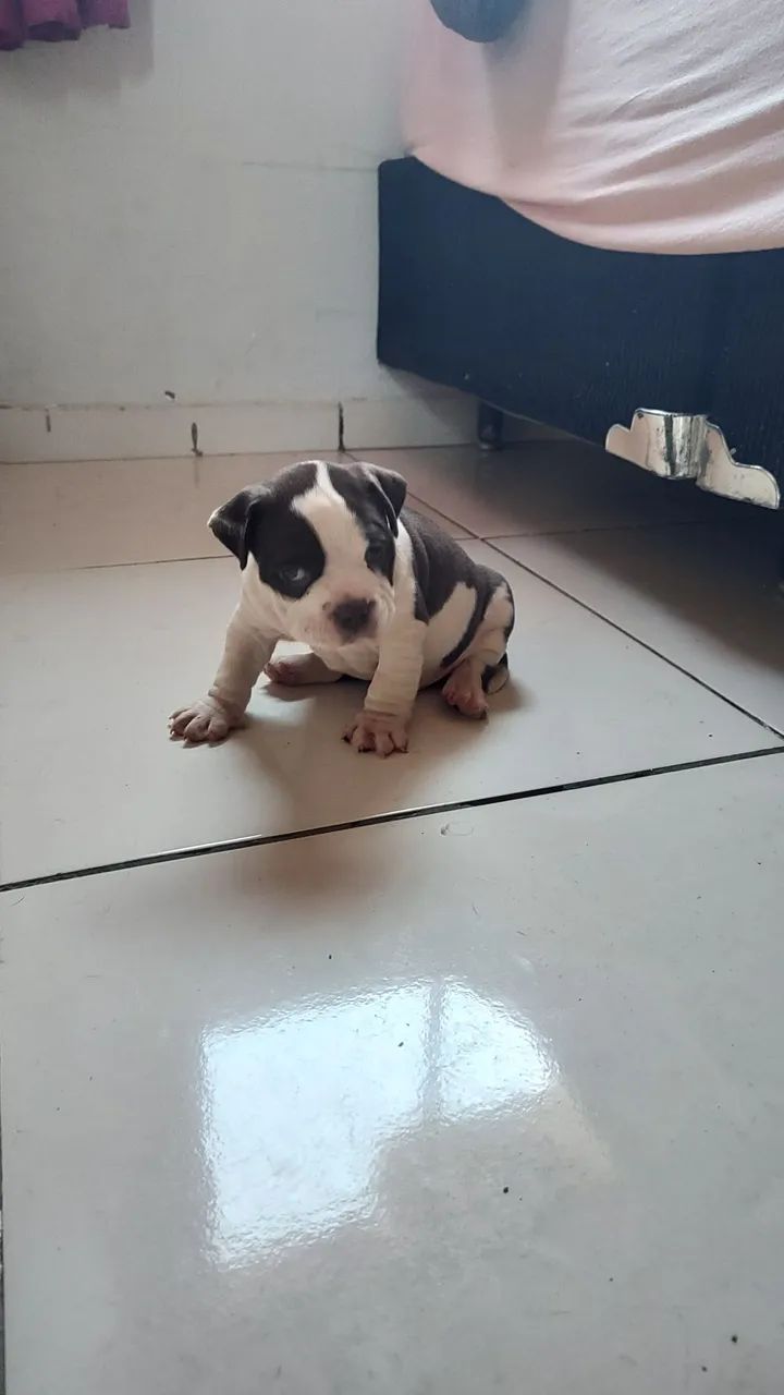 Vendo  - Foto 2