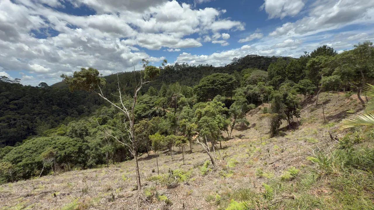 Vendo excelentes terrenos em Pedra Azul - Foto 4