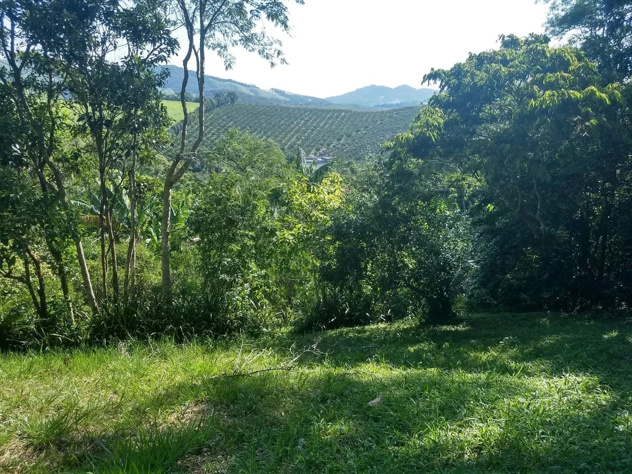 Terreno em Guararema  - Foto 2