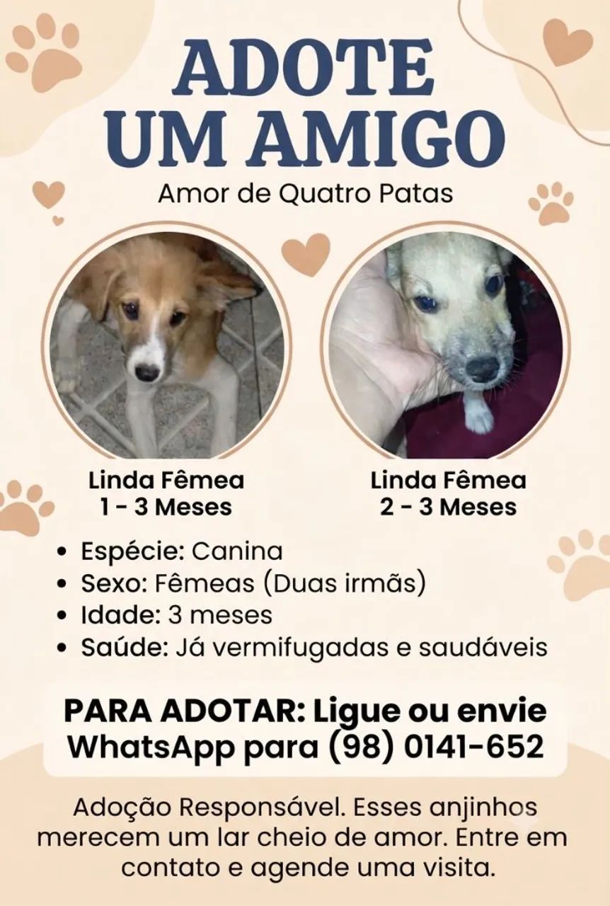 Adoção responsável 