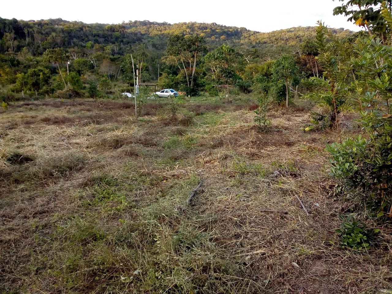 Foto - Itanagra - 