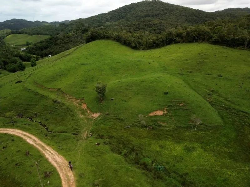 Terreno para Venda São Pedro de Alcântara - Foto 3