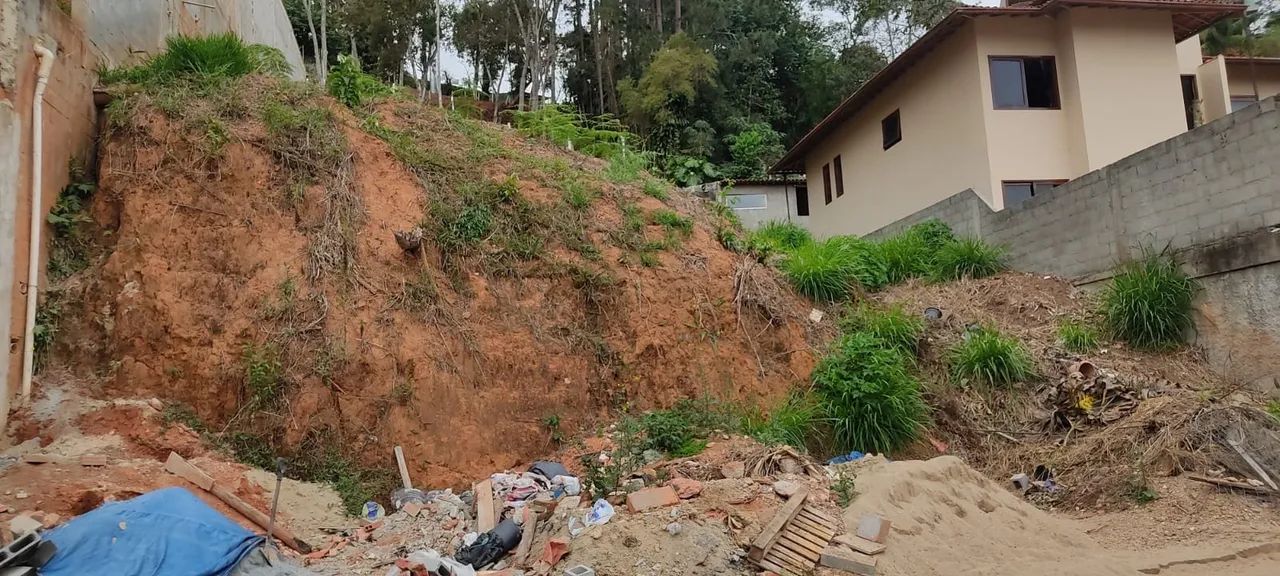Excelente Terreno nas Braunes - Foto 4